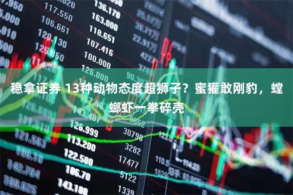稳拿证券 13种动物态度超狮子？蜜獾敢刚豹，螳螂虾一拳碎壳