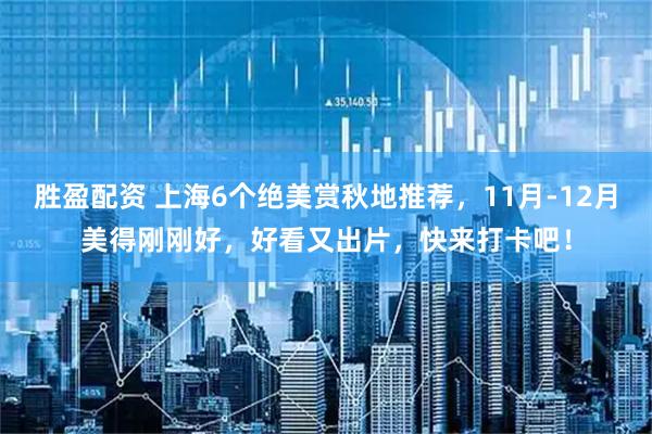胜盈配资 上海6个绝美赏秋地推荐，11月-12月美得刚刚好，好看又出片，快来打卡吧！
