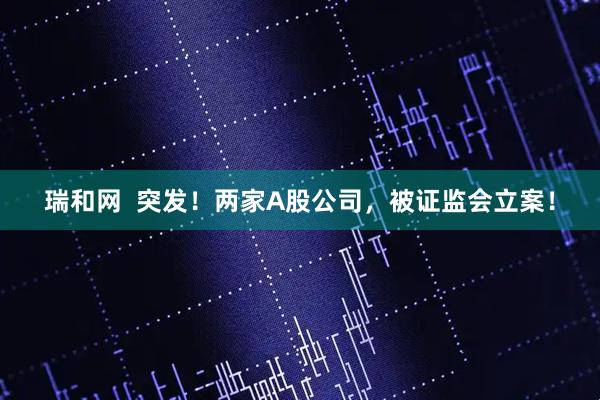 瑞和网  突发！两家A股公司，被证监会立案！